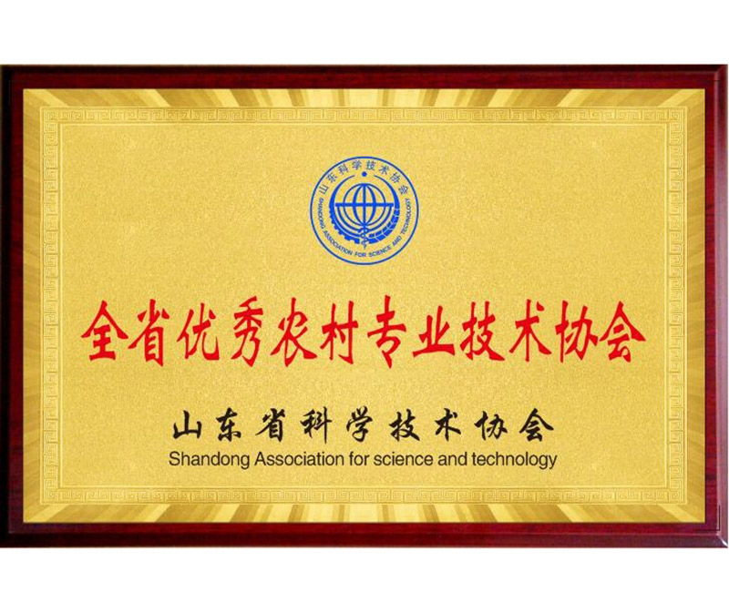 全省農(nóng)村專(zhuān)業(yè)技術(shù)協(xié)會(huì)
