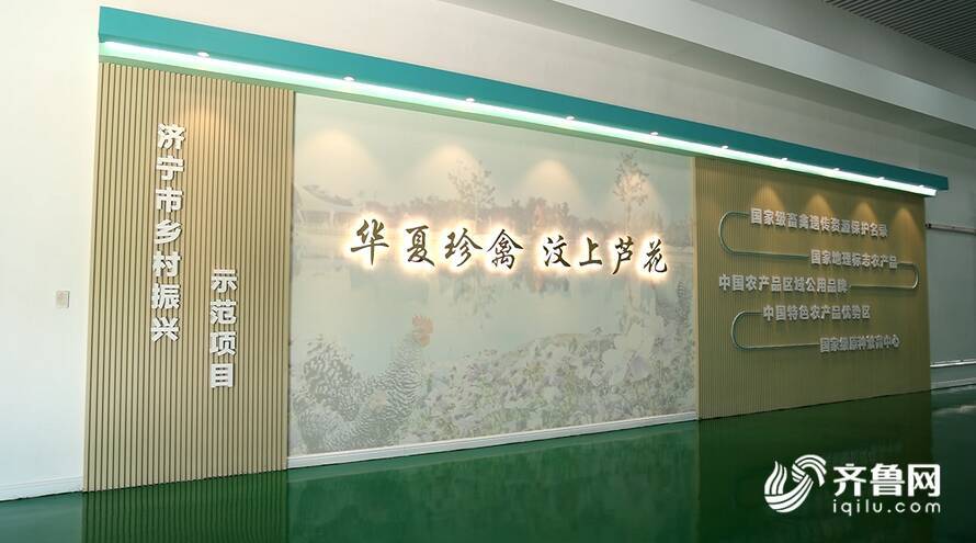 【齊魯網(wǎng)】濟寧2022上半年重點項目巡禮：汶上蘆花雞全產(chǎn)業(yè)鏈標準化生產(chǎn)基地項目 - 副本