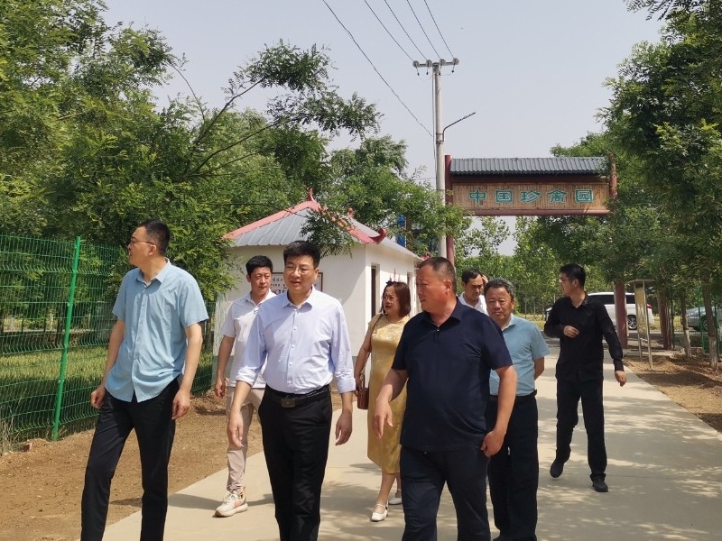 煙臺市農(nóng)業(yè)技術推廣中心黨委副書記尚忠?guī)ш牭浇鹎镛r(nóng)牧公司調研汶上蘆花雞特色產(chǎn)業(yè)發(fā)展情況